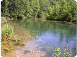 Im Donautal der Quellfluss Braunsel