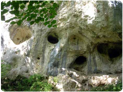 Unterhalb vom Ringwall (Alt Hayingen) liegt die Kleine Gerberhöhle
