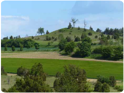 Naturschutzgebiet Digelfeld mit der Anhöhe "Runder Burren"