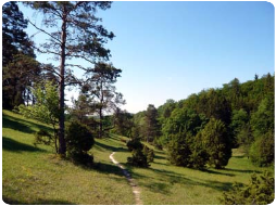 Hayingen mit Wacholderheide Schopfloch 