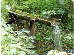 Bachlauf im Tiefental